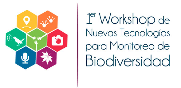 hd workshop