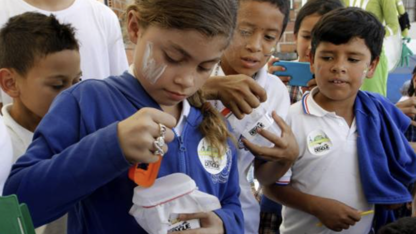 Eliminar el dengue