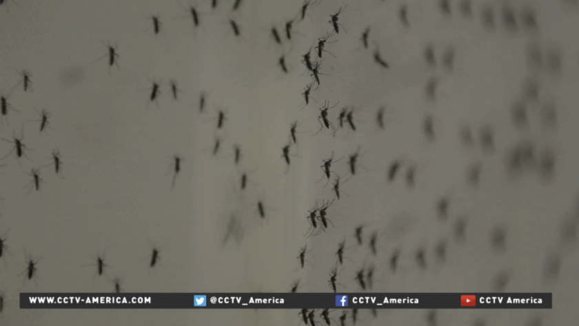 CCTV America