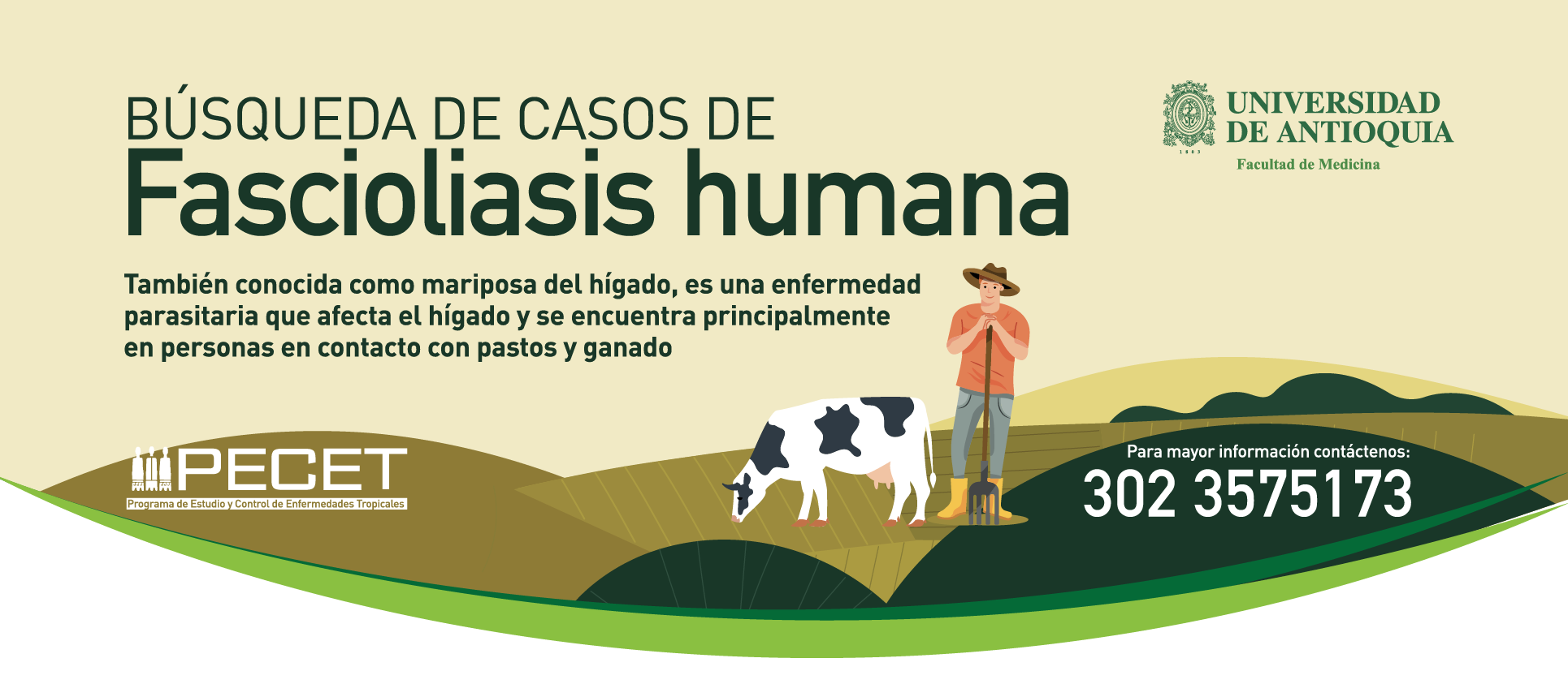 Fascioliasis