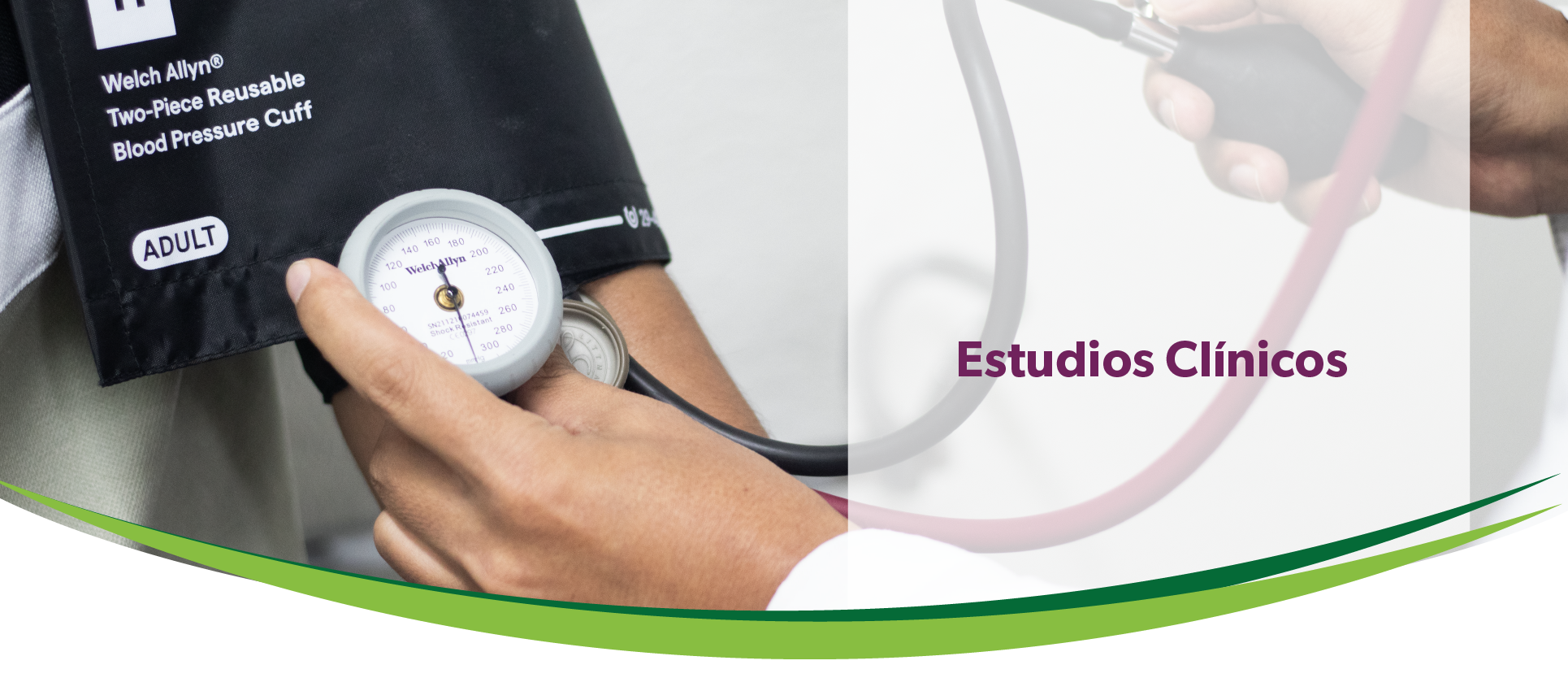 Estudios Clínicos
