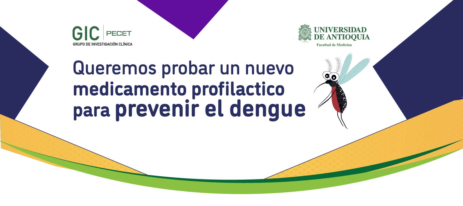 Estudios dengue