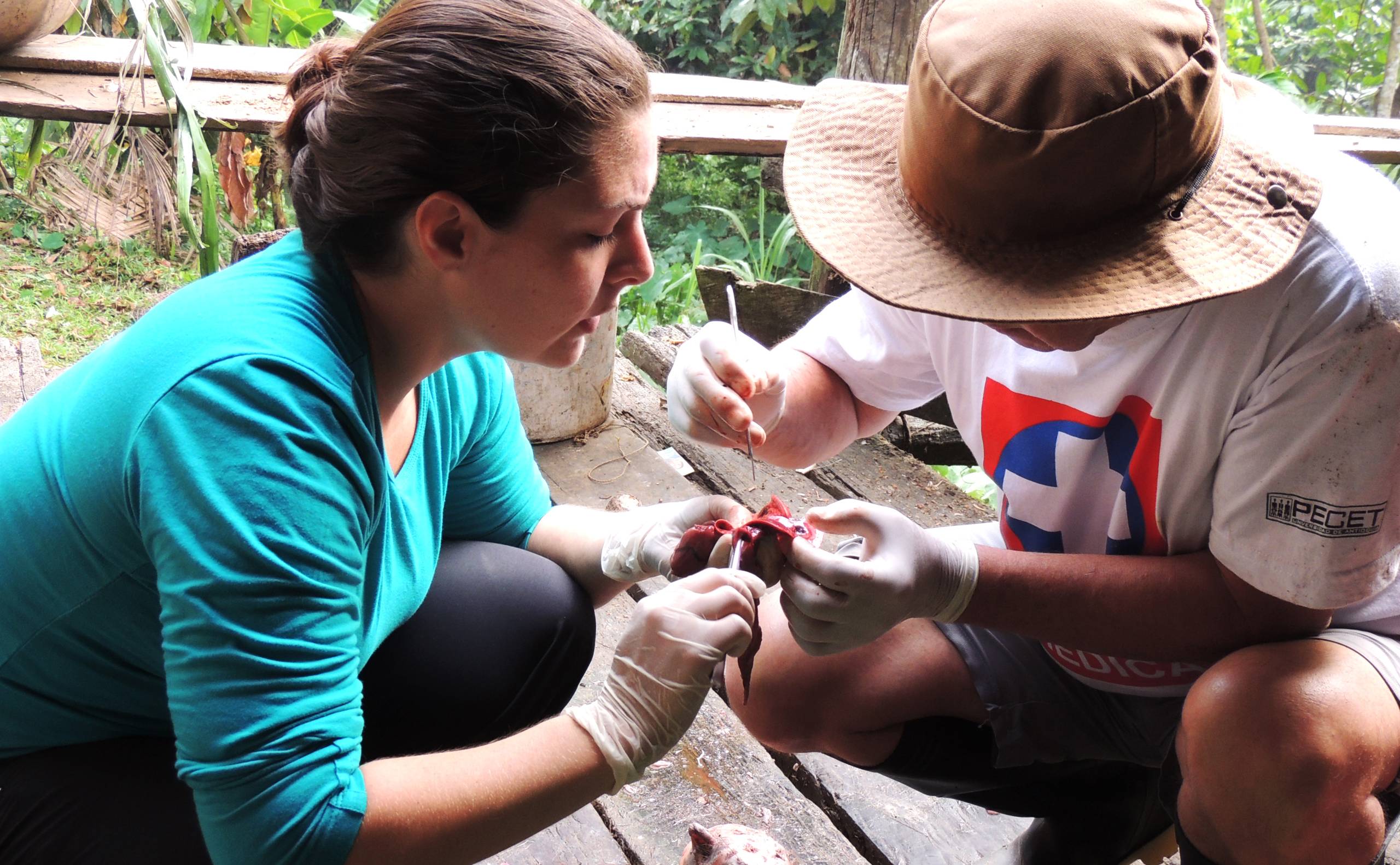 Estudios de foco para determinación de riesgos de infección para enfermedades tropicales